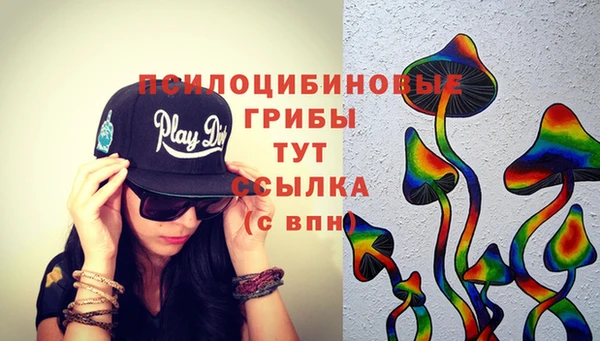 крисы Белокуриха